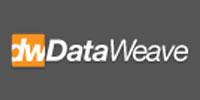 dataweave-logo (1)