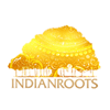 NDTV's ethnic wear marketplace Indianroots.com aims at operational breakeven in less than 2 years