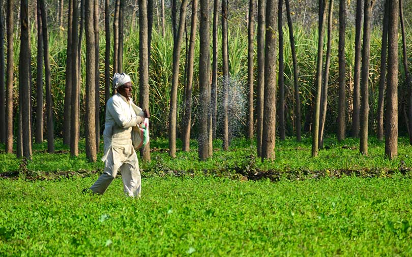 Agri-tech startup Agricxlab raises funding from Ankur Capital 