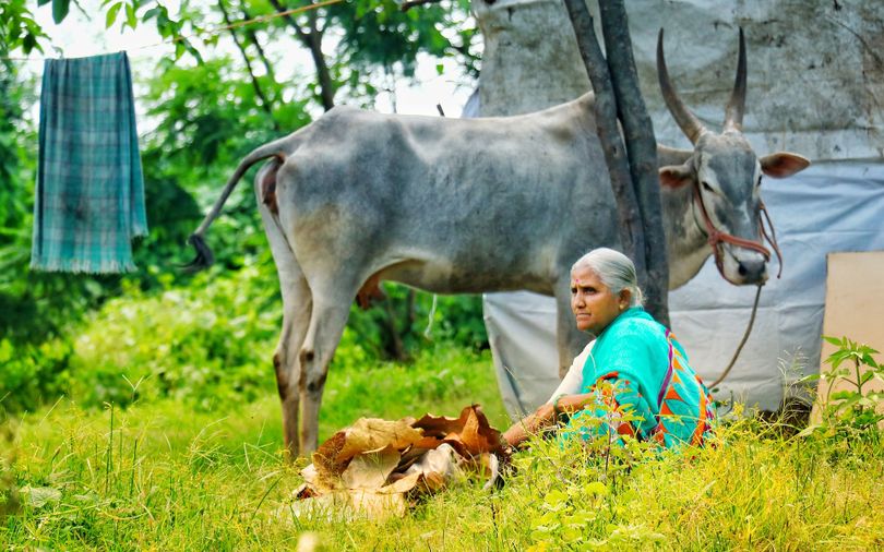 AI app for rural India can tell if a person is being pressured to take a loan