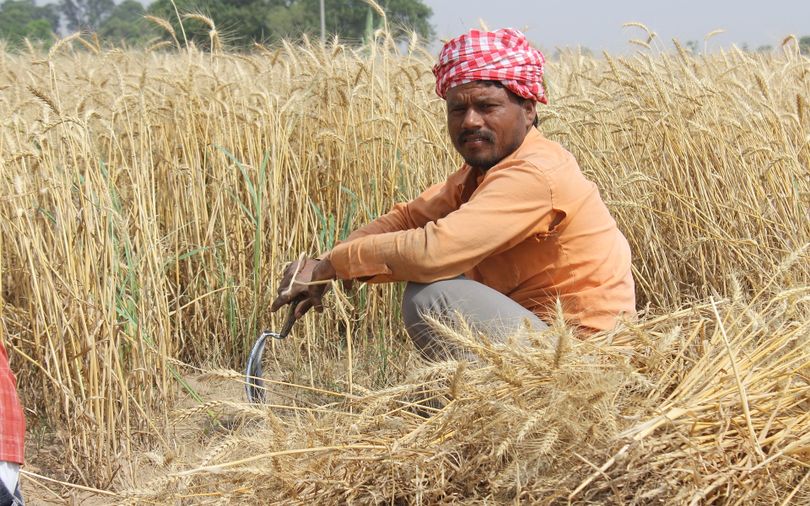 Can this startup's AI-based quality assessment tool help farmers get a fair price?