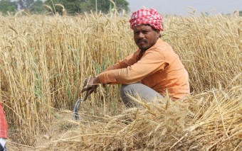 Can this startup's AI-based quality assessment tool help farmers get a fair price?