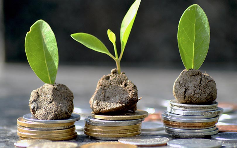 Startup incubation platform India Accelerator raises seed funding