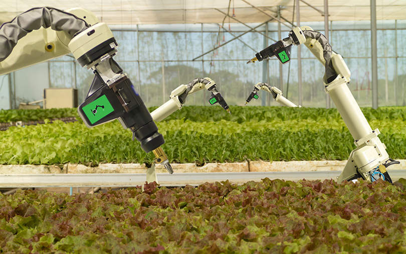 HPE to set up IoT-enabled training centre for agri-tech innovations