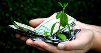 WealthBucket raises $3 mn seed funding from NorthStar, HNIs