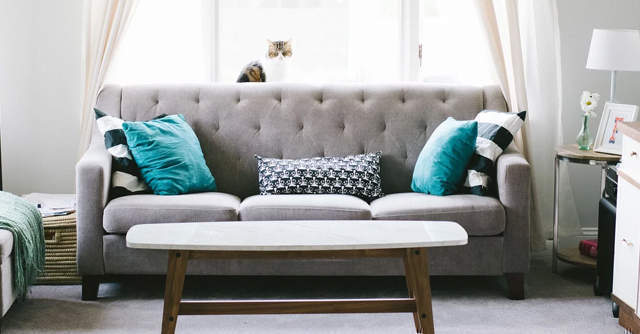 Lightbox, Vivriti Capital join furniture rental startup Furlenco’s $10 mn growth round