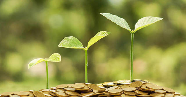 New investor Saama Capital leads $5.9 mn funding round in agritech firm Intello Labs