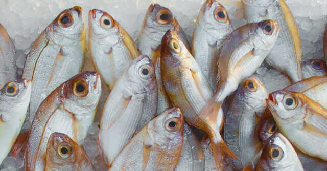 Seafood supply chain platform Captain Fresh raises $12 mn