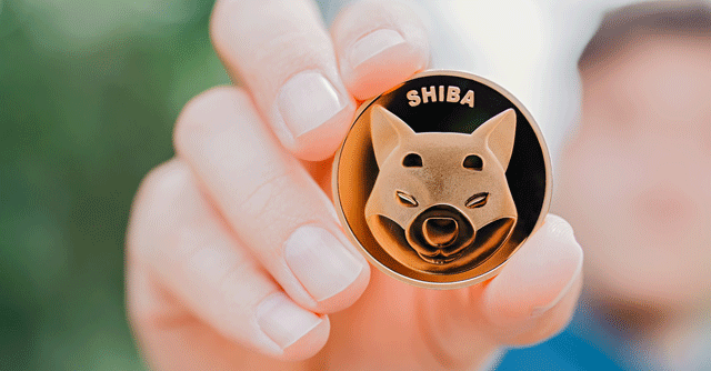 Why is memecoin Shiba Inu on the rise?