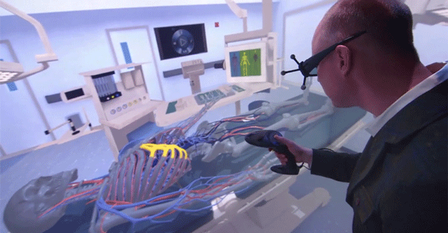 3D virtual simulations assist in human heart implants, brain research