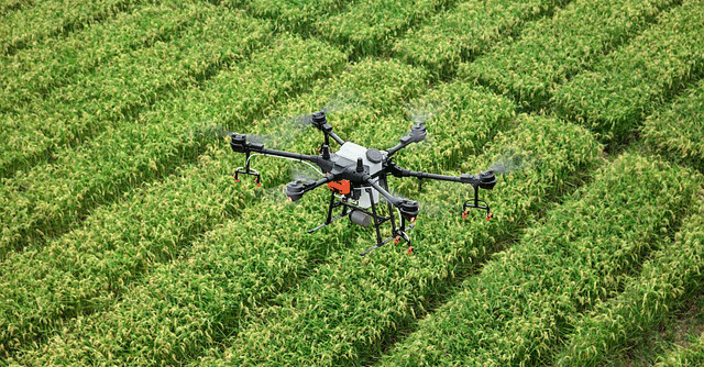 IIIT Raipur taps drones to detect diseases and insects in crops and curb overuse of pesticides