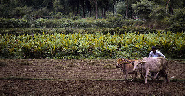 Budget 2023: Govt to launch accelerator fund to boost agritech startups, says FM