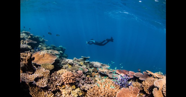 Citizens of Great Barrier Reef taps India’s Sahaj Software to protect marine ecosystem