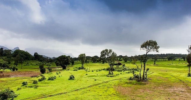 IIT Delhi researchers develop AI-based monsoon prediction model