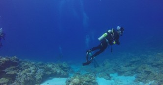 Citizens of Great Barrier Reef taps India’s Sahaj Software to protect marine ecosystem