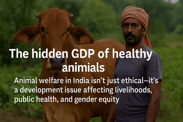 The hidden GDP of healthy animals